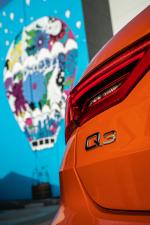 Audi Q3 2.0 TFSI Quattro S-Line 2019 года (NA)